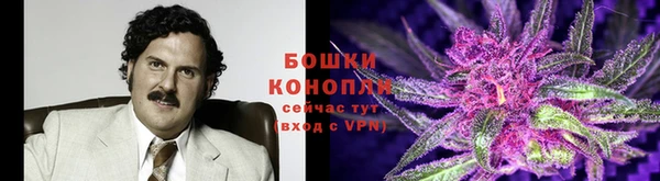 spice Беломорск