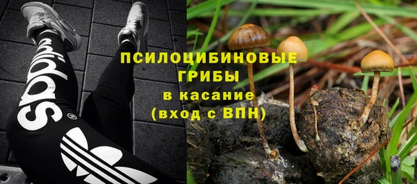 spice Беломорск