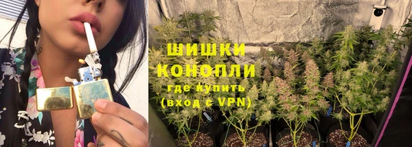 бутират Белокуриха