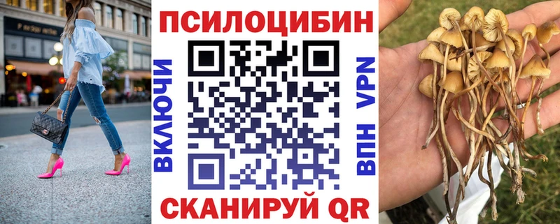 Галлюциногенные грибы Cubensis Красавино